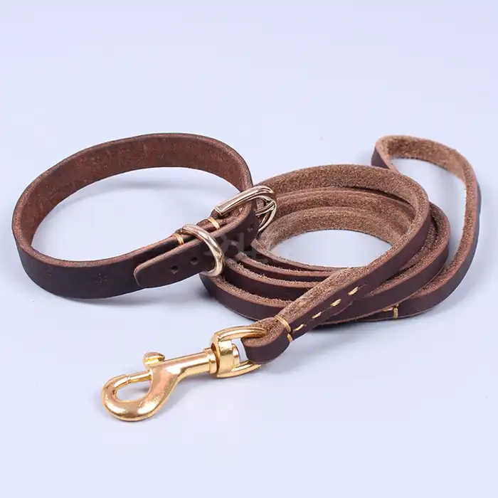 Leather Dog Leashes & Collars